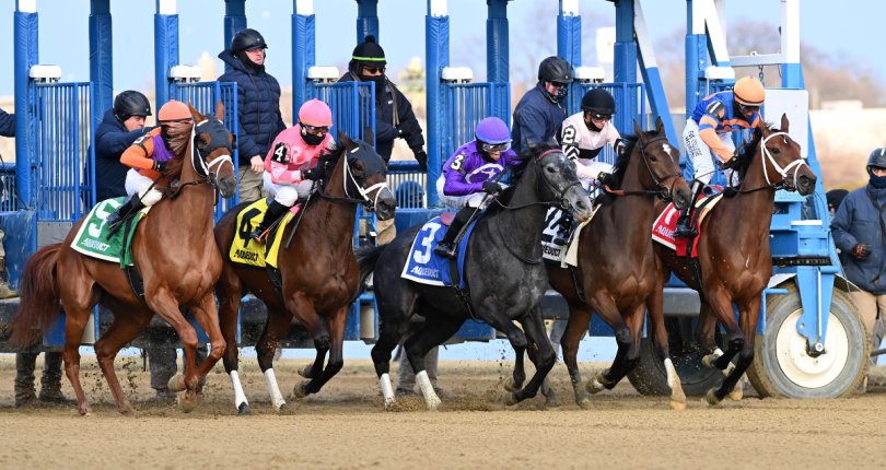 Multiple graded stakes-winner Senor Buscador tops stacked 12-horse field in Saturday’s G2 Cigar Mile