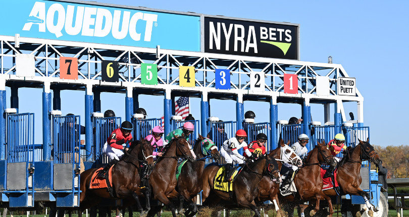 Morning Matcha goes for third stakes win in $125K NYSSS Staten Island