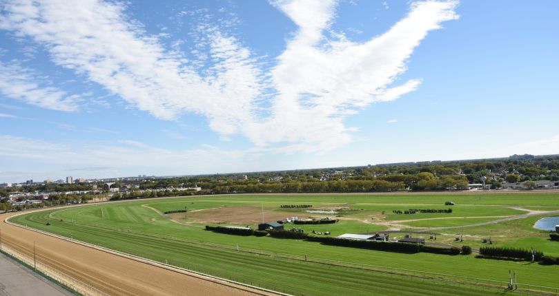 Beguine seeks graded-stakes breakthrough in G2 Gallant Bloom