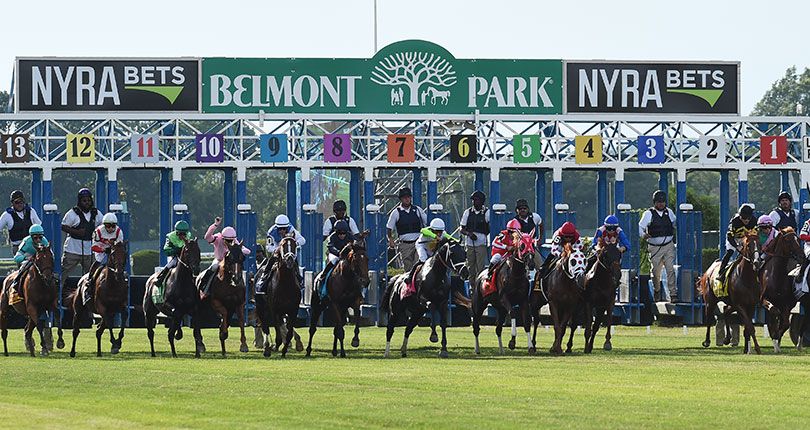 ​Eye Witness looks to double up on stakes scores in $150K Paradise Creek
