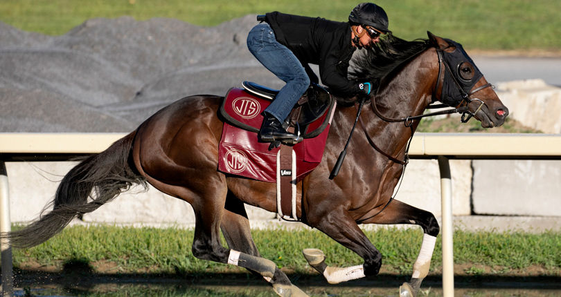 Grade 1-winners Catholic Boy, Glorious Empire face deep field assembled for G2 Knickerbocker