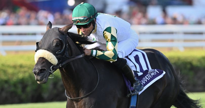 New York-breds in the spotlight on annual Big Apple Showcase Day