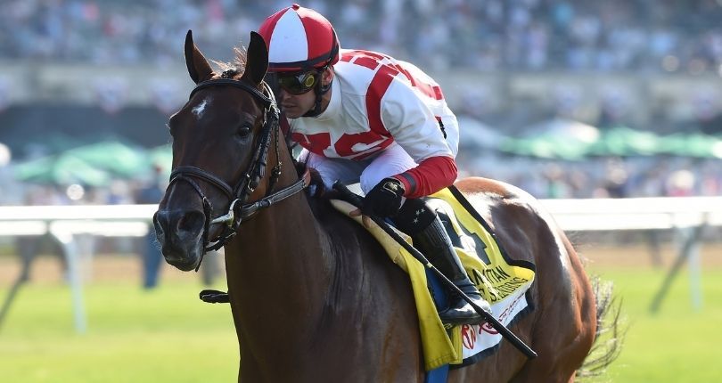 Domestic Spending leads slew of Chad Brown turf workers; Higher Truth targets G1 Belmont Oaks Invita