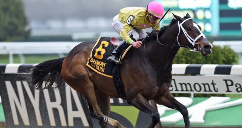 NYRA circuit veteran Eye Luv Lulu preparing for new career at Second Chance Thoroughbreds