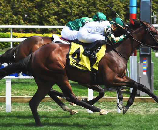 Feel Glorious set to rematch Brown-trained contingent in Saturday's Wild Applause