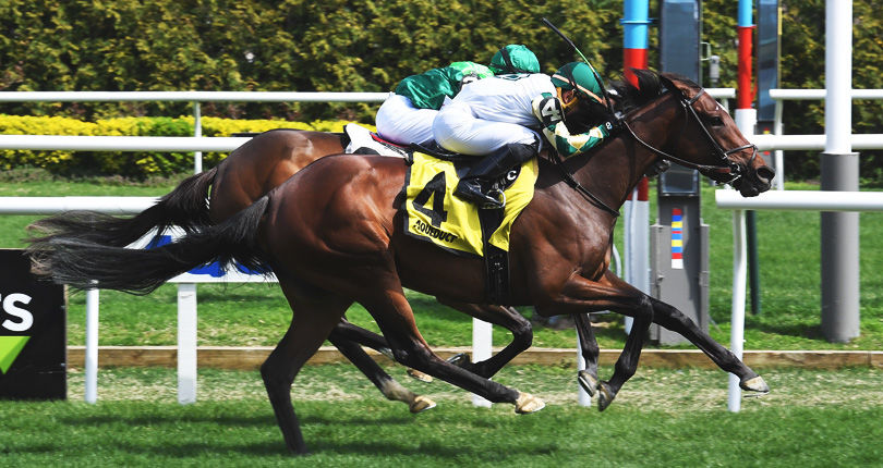Feel Glorious set to rematch Brown-trained contingent in Saturday's Wild Applause