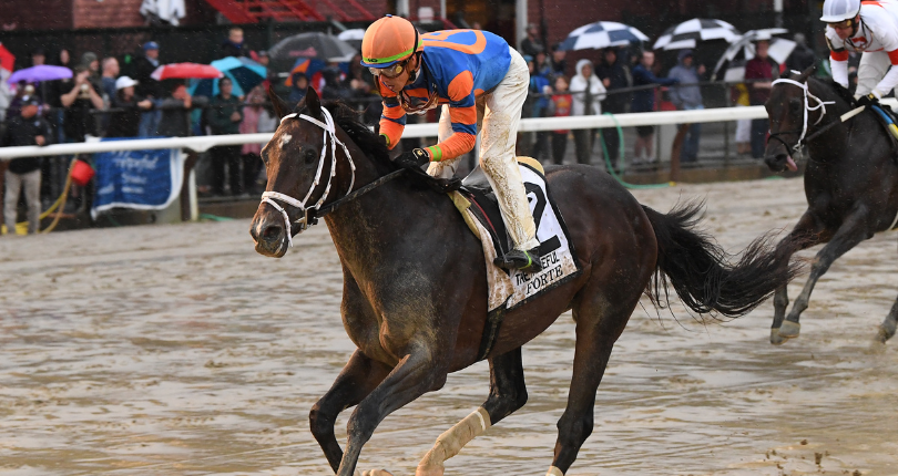 Forte breezes in preparation for G1 Belmont Stakes presented by NYRA Bets