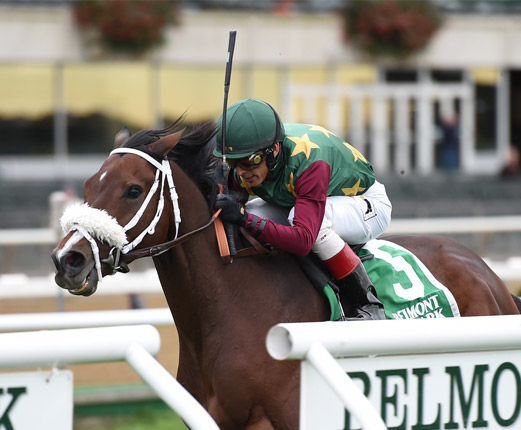 Hello Don Julio waves goodbye to the competition to win Point of Entry