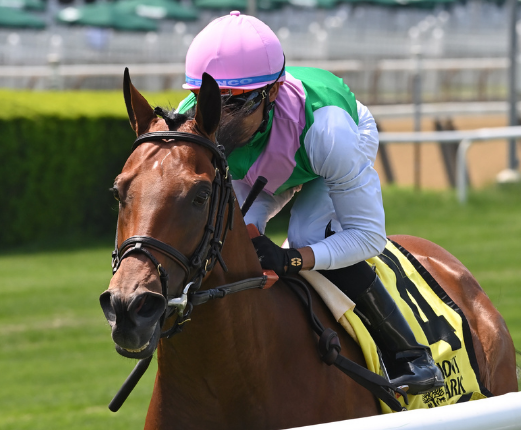 Masen backs up heavy favoritism in $100K Seek Again