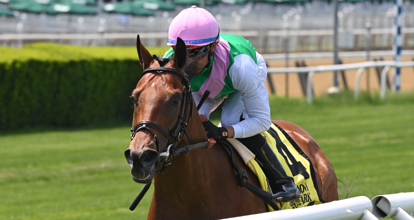 Masen backs up heavy favoritism in $100K Seek Again