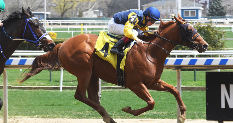 American Pharoah records first North American winner with Maven