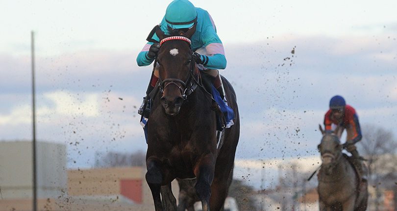 Mind Control 'bright-eyed and happy' the morning after victorious effort in G3 Toboggan
