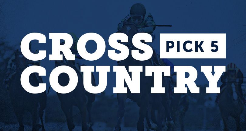 ​Sunday’s Cross Country Pick 5 features action from Aqueduct Racetrack, Tampa Bay Downs and Sunland