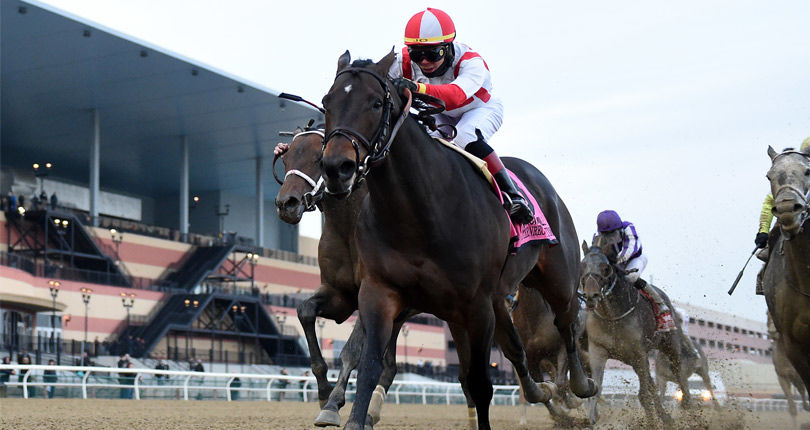 Pegasus World Cup a possibility for Cigar Mile champ Patternrecognition