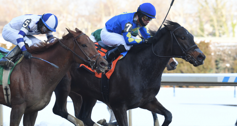 Security Code earns elusive stakes score in $100K Broadway