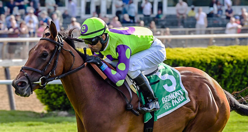 Seek and Destroy prevails in G3 Soaring Softly
