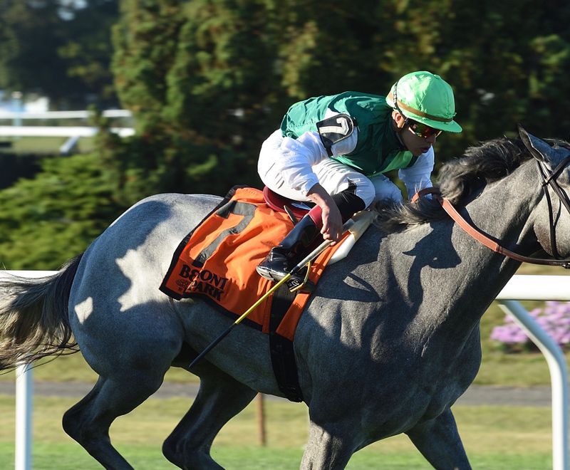 Significant Form returns to action in Memories of Silver