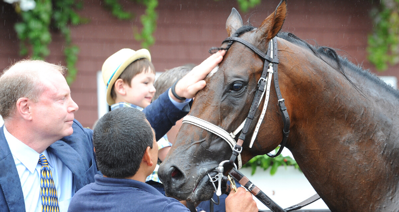 Spring to the Sky set to soar in second career