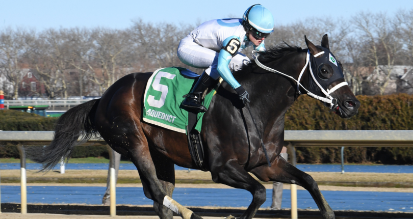 Super Chow brings an appetite for success to G2 Carter presented by NYRA Bets