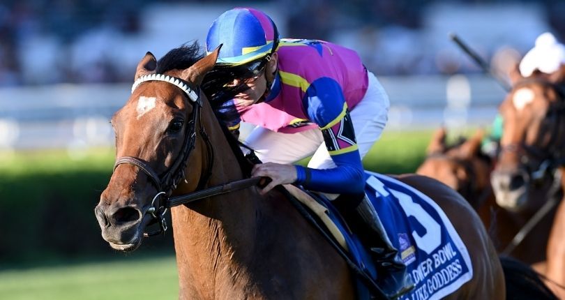 War Like Goddess goes for repeat win in G1 Joe Hirsch Turf Classic