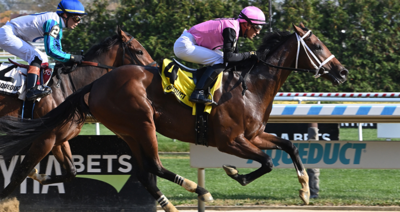 Where's Chris chasing Kentucky Derby points in G2 Remsen