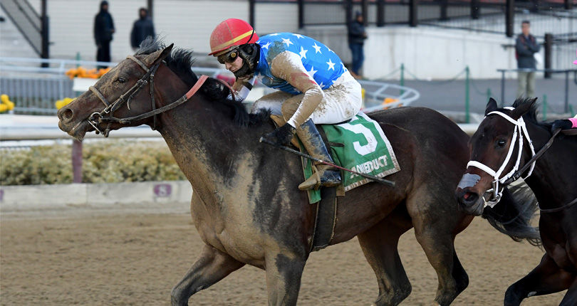 36-1 longshot Workaholic grinds out upset Cicada win