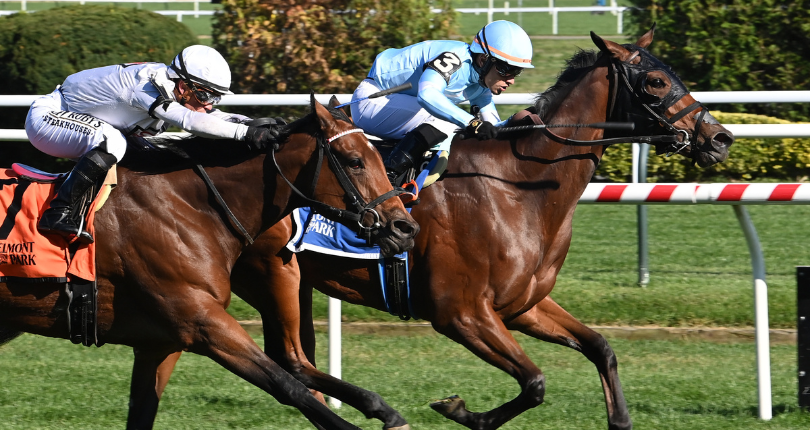 American Apple seeks second graded conquest in G3 Soaring Softly