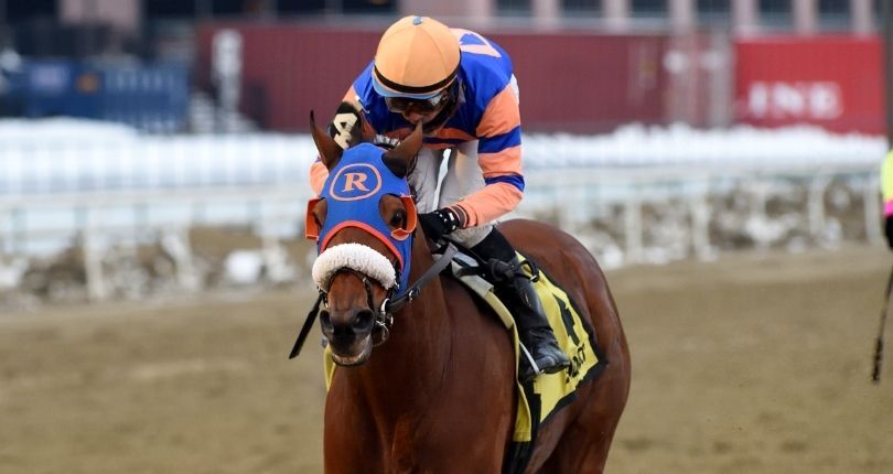 Backsideofthemoon looks to thwart Mr. Buff’s three-peat bid in Jazil