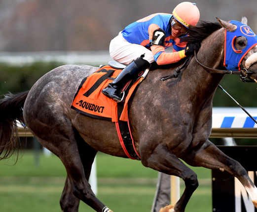 Dream Bigger aims high to win second straight stakes in Notebook