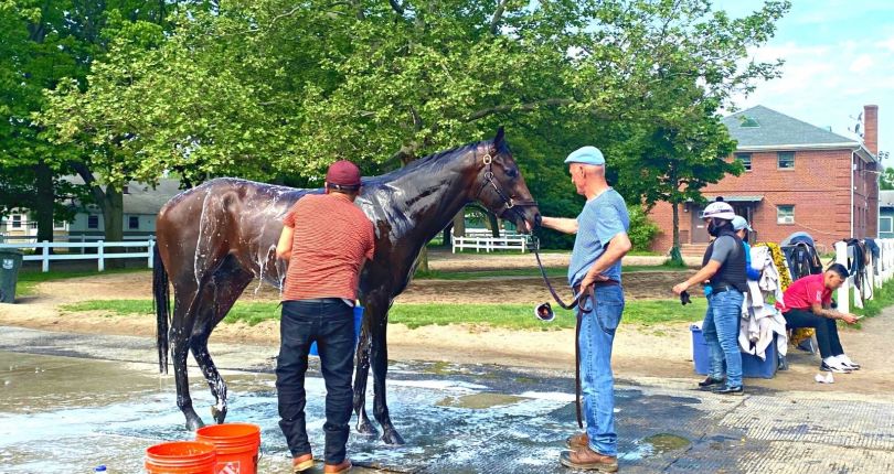 The G1 Preakness shares a strong connection to New York racing in addition to G1 Belmont Stakes