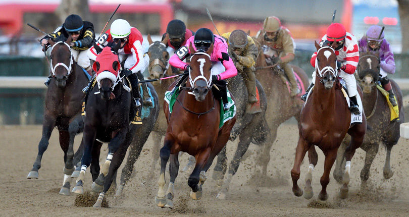 G1 Cigar Mile champ Maximum Security in good shape; possible for Grade 1 Pegasus World Cup