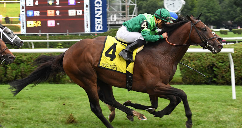 Raging Bull hopes to bring another knockout performance in G3 Poker