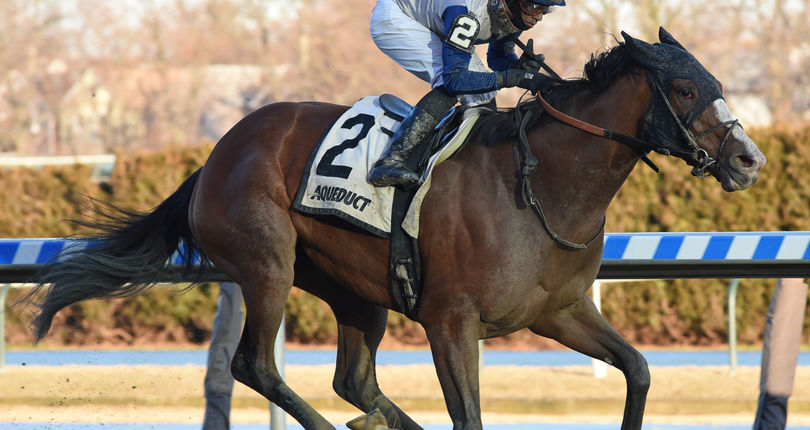 Saguaro Row continues Big A success with Interborough victory