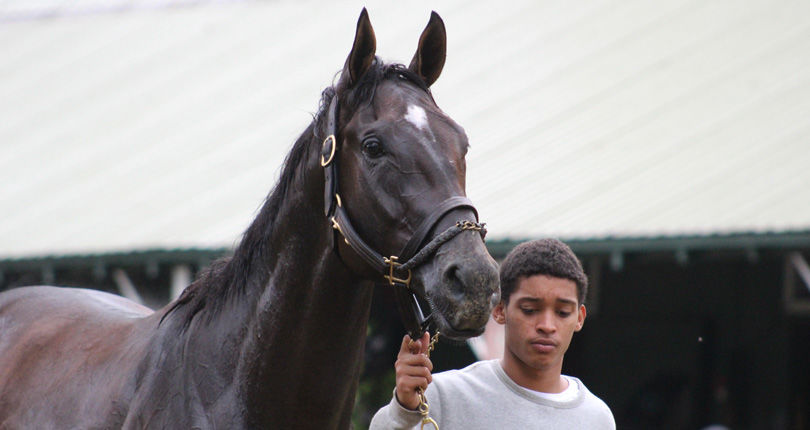 Tax posts bullet breeze in preparation for G1 Runhappy Travers