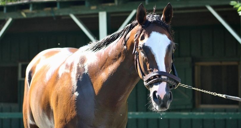 Tiz the Law in good shape after dominant effort in Runhappy Travers (G1)