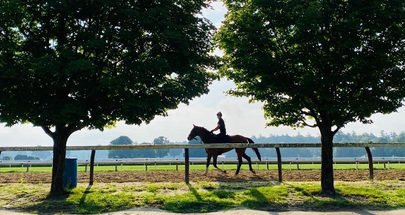 Saratoga Race Course to open for training on Saturday, April 17