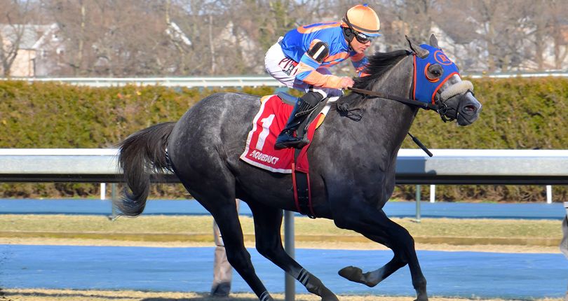 Dream Bigger runs huge in $100K Damon Runyon